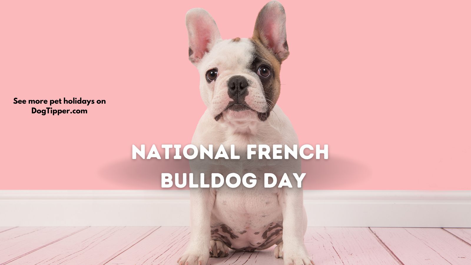 National French Bulldog Day